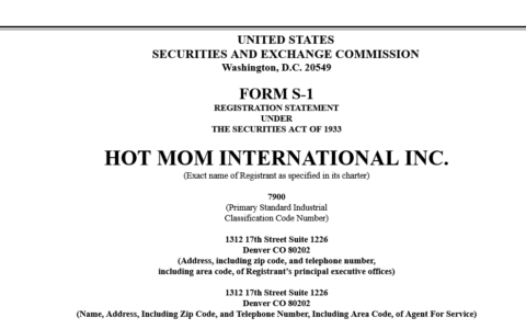 辣妈国际 ‘Hot Mom International’ IPO：这个公司是干啥的？