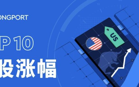 年终盘点｜谁是 2024 年美股涨幅王？