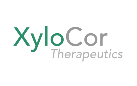 XyloCor Therapeutics 完成 6750 万美元 B 轮融资，用于推进心血管疾病新型基因疗法的临床开发