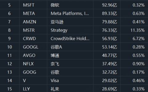 美股成交额TOP 20｜Palantir涨近7%，获机构唱多；Strategy大涨逾12%，两日累涨近23%；