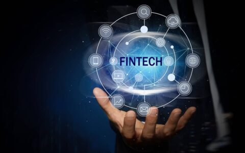 从挑战者到潜在王者：Capital One与SoFi Technologies的百倍成长路径解析